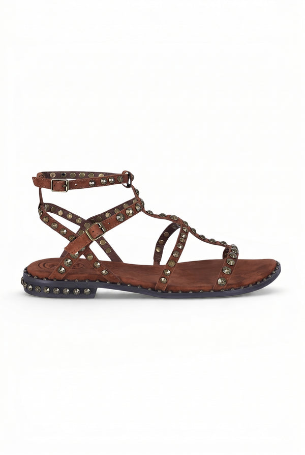 Ash - Sandals - 471262 - Chocolate 