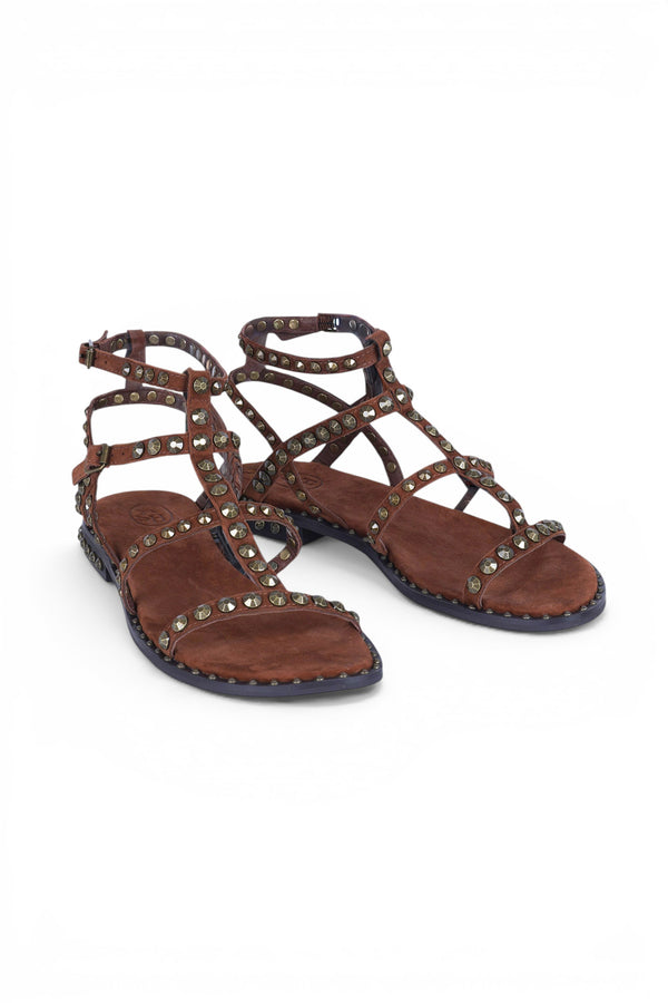 Ash - Sandals - 471262 - Chocolate 