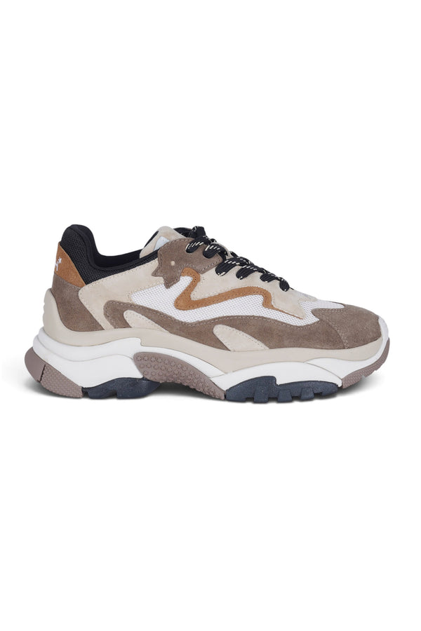 Ash - Sneakers - 480687 - Panna/Beige