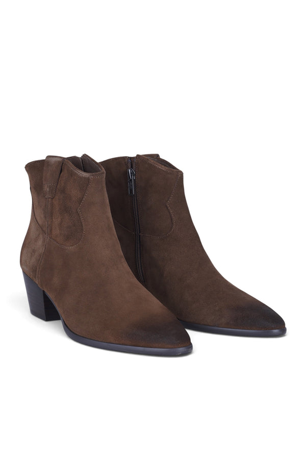 Ash - Stivaletti - 480684 - Marrone